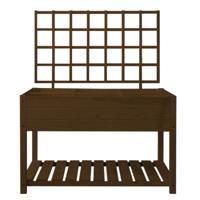 Esschert Design trellis verhoogde kweekbak bruin L - thumbnail