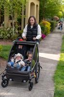 Burley Kard bur babyschaal 1 tm 10 mnd gry - thumbnail