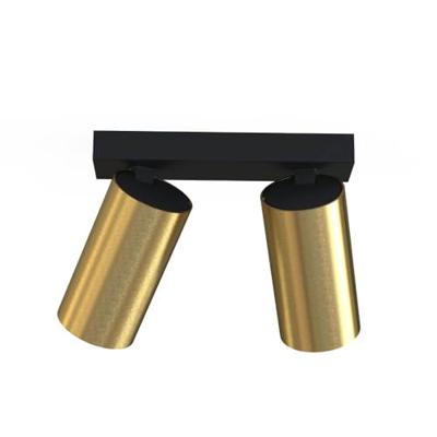 Lyora Gouden opbouwspotMono 2-lichts kantelbaar - 7782