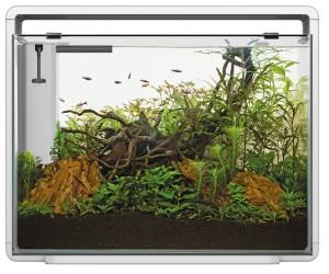 Superfish Home 85 aquarium wit