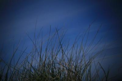 Holga PinholeLens for Canon DSLR camera Holga PinholeLens for Canon DSLR camera