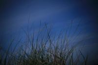 Holga PinholeLens for Canon DSLR camera - thumbnail