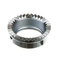 MZA Wartelmoer cap nut f.kruemmer - thumbnail