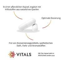 Vitals Groene Thee-PS Capsules - thumbnail