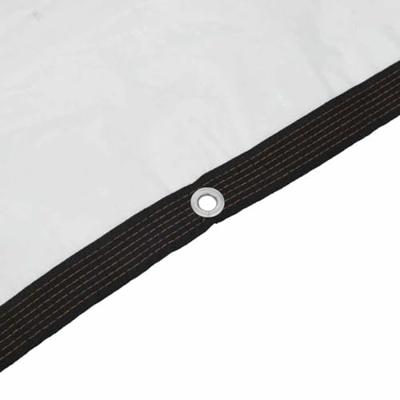 Doorzichtig zeildoek met zeilringen 1x12 m polyethyleen - thumbnail