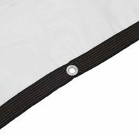 Doorzichtig zeildoek met zeilringen 3x10 m polyethyleen - thumbnail