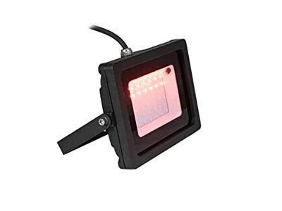 EUROLITE LED IP FL-30 SMD RGB