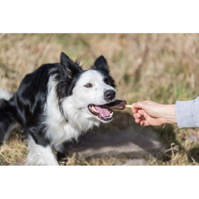 TRIXIE DENTA FUN CHICKEN POPS 13 CM 50 ST TRIXIE DENTA FUN CHICKEN POPS 13 CM 50 ST