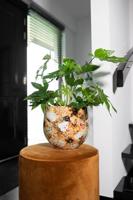 TS Collection bloempot cotton metaal 15x12cm cream - thumbnail