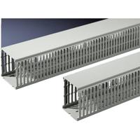 Rittal TS 8800.751 PVC Steen-grijs (l x b x h) 2000 x 40 x 80 mm 20 stuk(s) - thumbnail