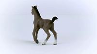 Schleich horse club francais veulen 13957 - thumbnail