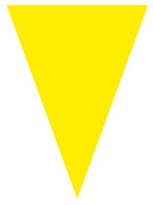 Vlaggenlijn Multicolour 10 m