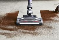 Rowenta RH9639 X-Force Flex 8.60 Steelstofzuiger Grijs/Paars - thumbnail