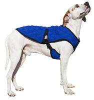 Julius K9 idc power-harnas / tuig voor labels zwart - thumbnail