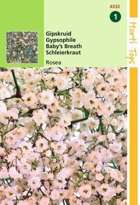 Zaden Gypsophila Gipskruid Elegans Roze Hortitops - Hortitops
