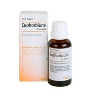 Heel Euphorbium Compositum Druppels 30ml - thumbnail