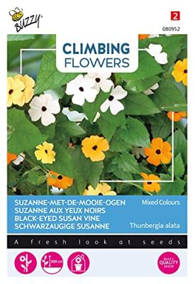 Zaden Flowering Climbers Thunbergia mixed Buzzy - Buzzy
