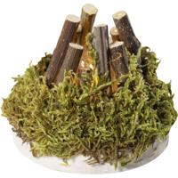 Kahlert Licht 49694 Kampvuur - thumbnail