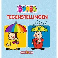 Studio 100 Bumba kartonboek xl - tegenstellingen - thumbnail