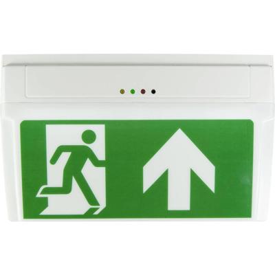 B-SAFETY BR530030 LED-vluchtwegverlichting Plafondopbouwmontage, Wandopbouwmontage Uitgang, Vluchtweg, Rechts, Links B-SAFETY BR530030 LED-vluchtwegverlichting Plafondopbouwmontage, Wandopbouwmontage Uitgang, Vluchtweg, Rechts, Links