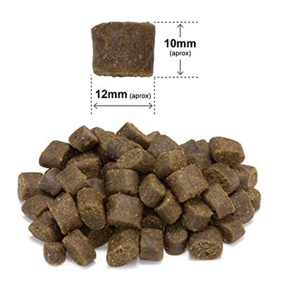 ARQUIVET Verse Oceaanvis - droogvoer voor honden - 10 kg