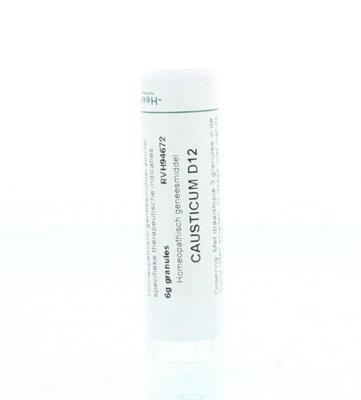 Homeoden Heel Causticum D12 6 Gram
