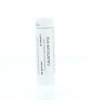 Homeoden Heel Causticum D12 6 Gram - thumbnail