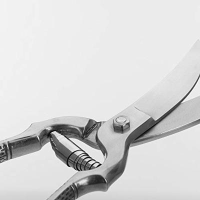 Westmark Wildschaar Classic (1017389)