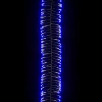 Lichtslinger cluster met 1000 LED's blauw 20 m PVC - thumbnail