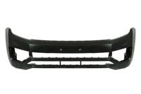 Bumper 5510009596900P - thumbnail