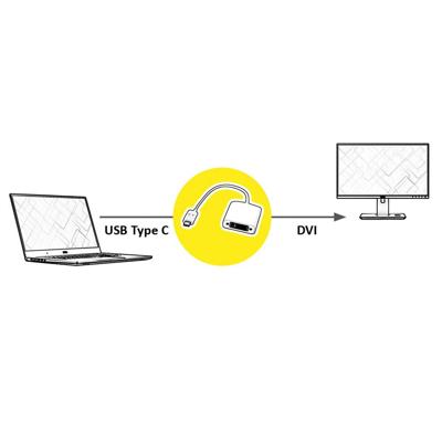 ROLINE Beeldscherm Adapter USB Type C - DVI