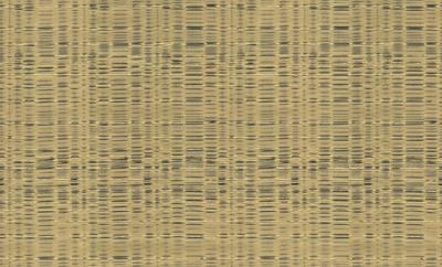 Dutch Wallcoverings Yudashkin 5 10X1,06M - Goud