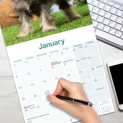 Miniatuur Schnauzer Kalender 2026 Miniatuur Schnauzer Kalender 2026