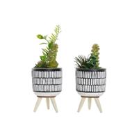 Decoratieve plant DKD Home Decor Keramisch Zwart Polyethyleen Wit Groen (7 x 7 x 19 cm) (2 Stuks) - thumbnail
