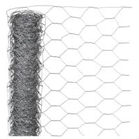 Nature gaas zeshoekig 1x10 m 40 mm gegalvaniseerd staal - thumbnail
