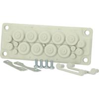 Fibox FMF 17 Kabeldoorvoeringsplaat Polycarbonaat Grijs-wit (RAL 7035) 1 stuk(s) - thumbnail