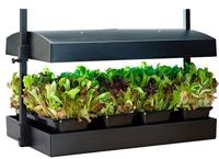Garland Garland Grow light garden | 24 watt - thumbnail