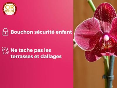 GOUD BRUIN Orchideeënmest 250 ml