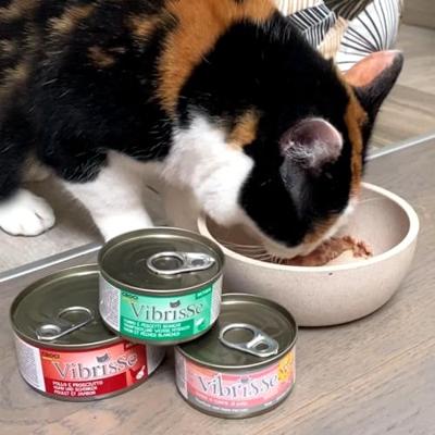 VIBRISSE CAT MAKREEL - thumbnail
