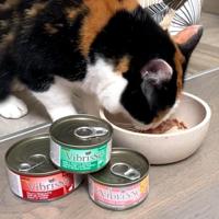 VIBRISSE CAT MAKREEL 24X70 GR - thumbnail
