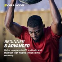 Creatine Cellucor | Cellucor | 306g - thumbnail