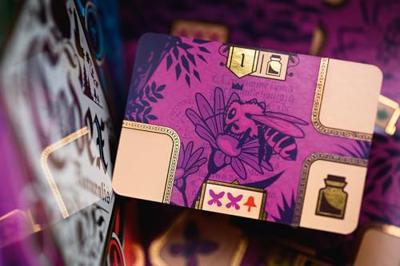 Codex Naturalis - Asmodee - Strategiespel - Vanaf 7 jaar