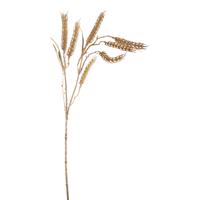 Decoratietak Tarwe Goud 73cm - thumbnail