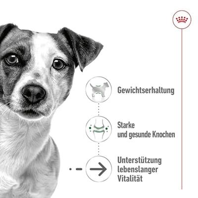 Royal Canin Mini Ageing (senior) natvoer hondenvoer zakjes 12x85g