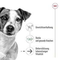Royal Canin Mini Ageing natvoer hond (in saus) 2 dozen (24 x 85 g) - thumbnail