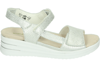 Waldlaufer 795008 H-Dina - alle Waldlaufer 795008 H-Dina - alle