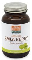 Vegan Amla Berry - thumbnail