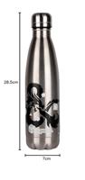 Dungeons & Dragons Thermo Water Bottle Logo Silver - thumbnail