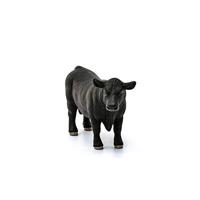 Schleich farm world angus stier 13879 - thumbnail