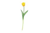 Decostar kunstbloem Tulipa (parkiet) 40 cm geel - thumbnail